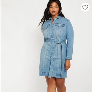 Eloquii Denim Jacket Dress
